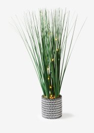 LED kunstplant met keramische pot, bpc living bonprix collection