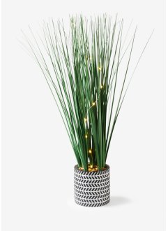 LED kunstplant met keramische pot, bpc living bonprix collection