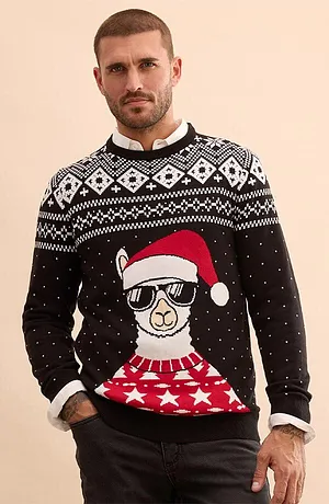 Heren - Kersttrui met katoen - zwart/wit