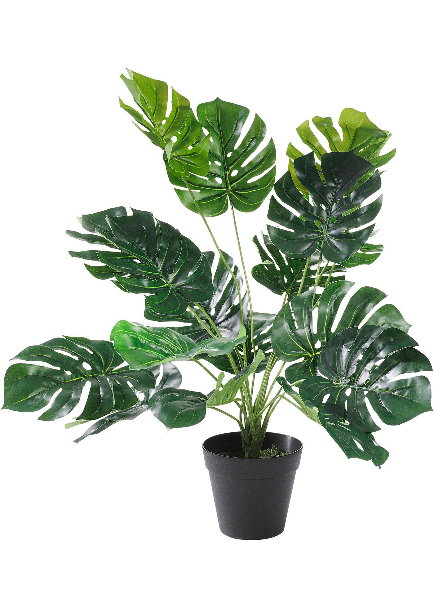 Bpc Living Kunstplant Monstera bpc living kopen in de aanbieding