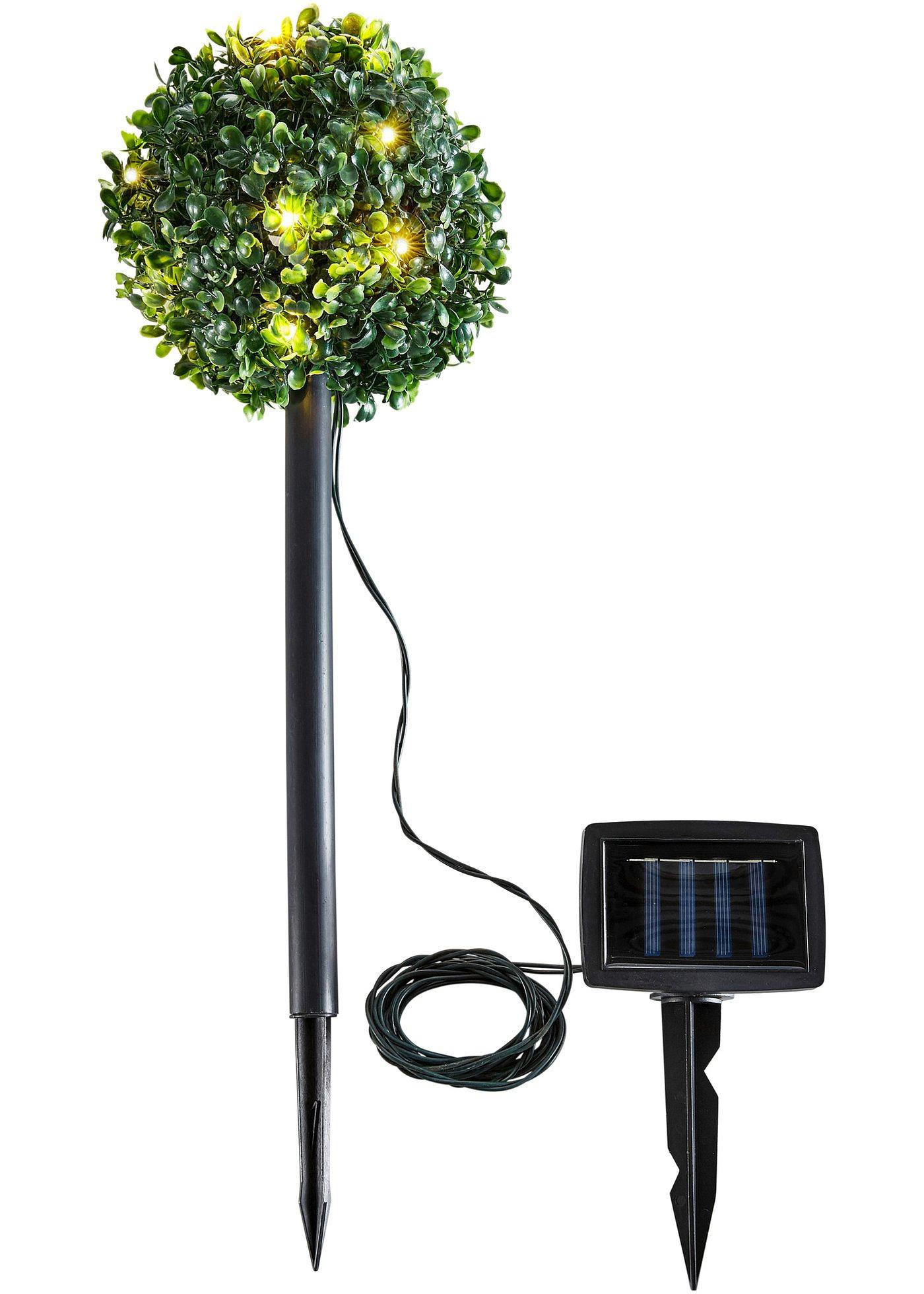 Solar decoratie buxus