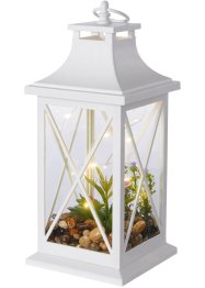 LED lantaarn met succulenten, bpc living bonprix collection