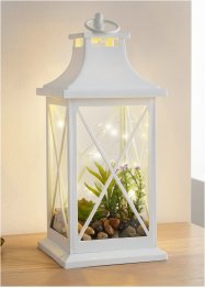 LED lantaarn met succulenten, bpc living bonprix collection