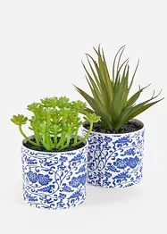 Kunstplant vetplanten in pot (set van 2), bonprix