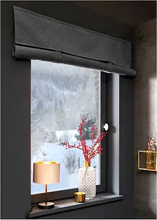 Verduisterend vouwgordijn, effen, bonprix