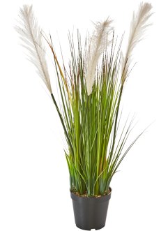 Kunstplant grassen, bpc living bonprix collection
