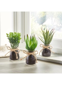 Kunstplant met glazen pot, 3-dlg. set, bpc living bonprix collection