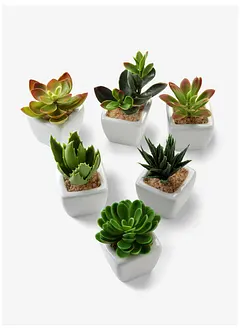 Kunstplanten (6-dlg. set), bonprix