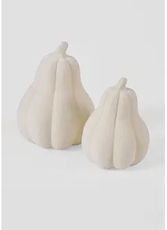 Decoratieve pompoenen (2-dlg. set), bonprix