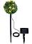 Solar decoratie buxus, bpc living bonprix collection