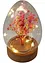 LED ornament ei met gedroogde bloemen, bonprix