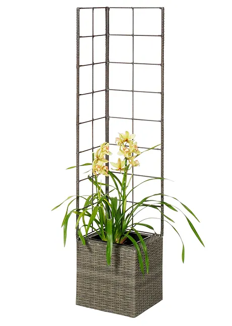 Plantenbak met klimhulp, bpc living bonprix collection