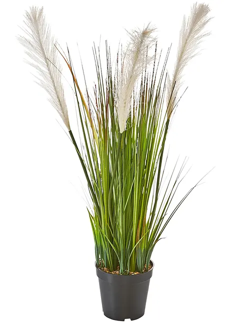 Kunstplant grassen, bpc living bonprix collection
