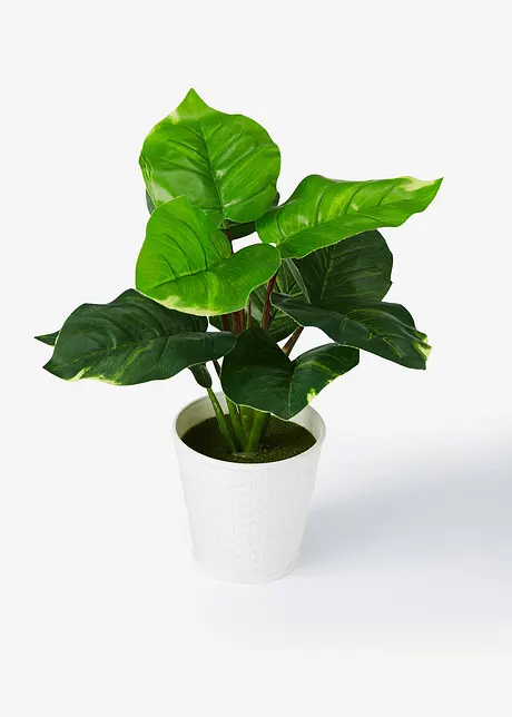 Kunstplant in pot, bpc living bonprix collection