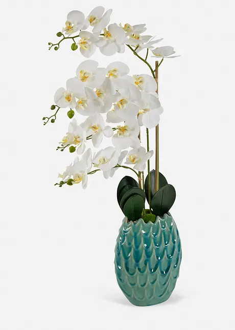 Kunstmatige orchidee plant, bonprix