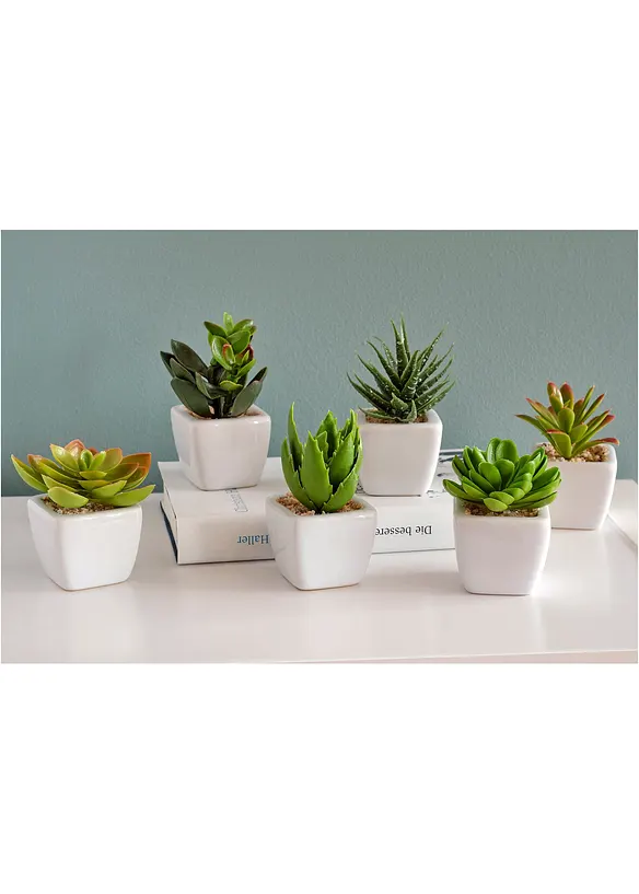 Kunstplanten (6-dlg. set), bonprix
