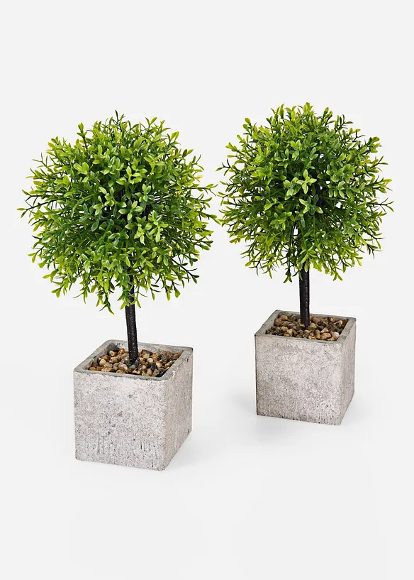 Kunstplant in pot (set van 2), bonprix