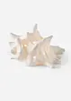 LED ornament in de vorm van een schelp, bonprix
