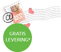 newsletter image