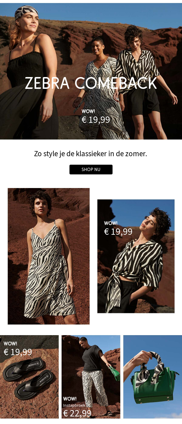 Zebra x Colour >