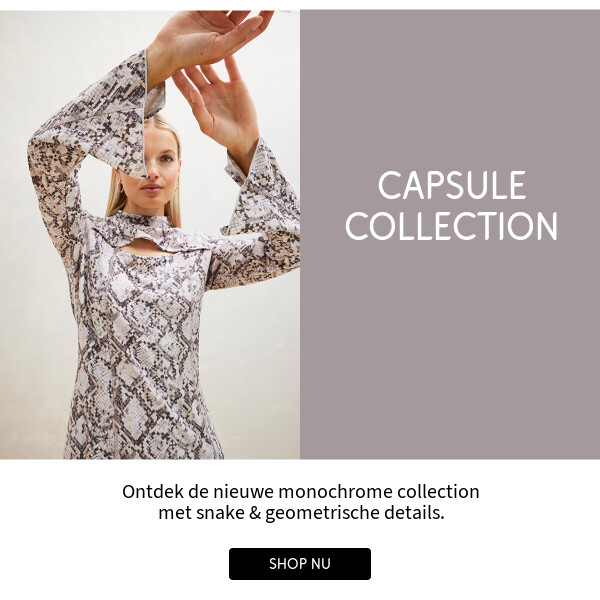 Capsule Collection >