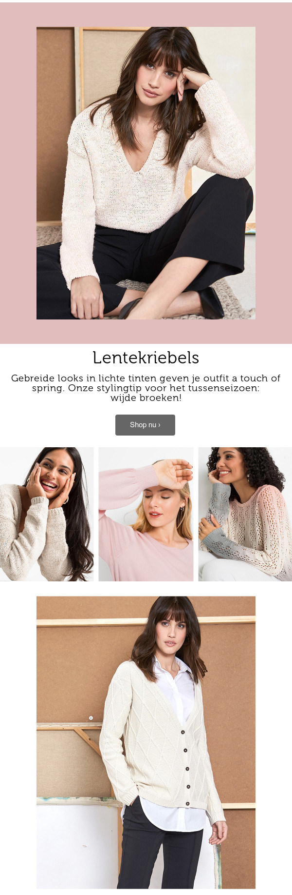Truien & Vesten >