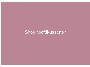 Hoofdkussens >