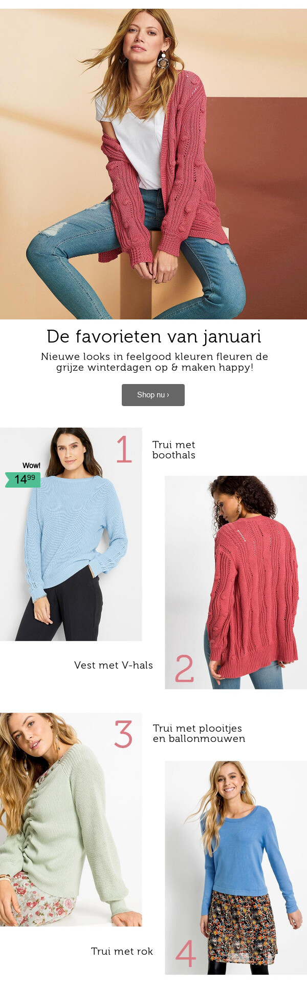 Truien & Vesten >