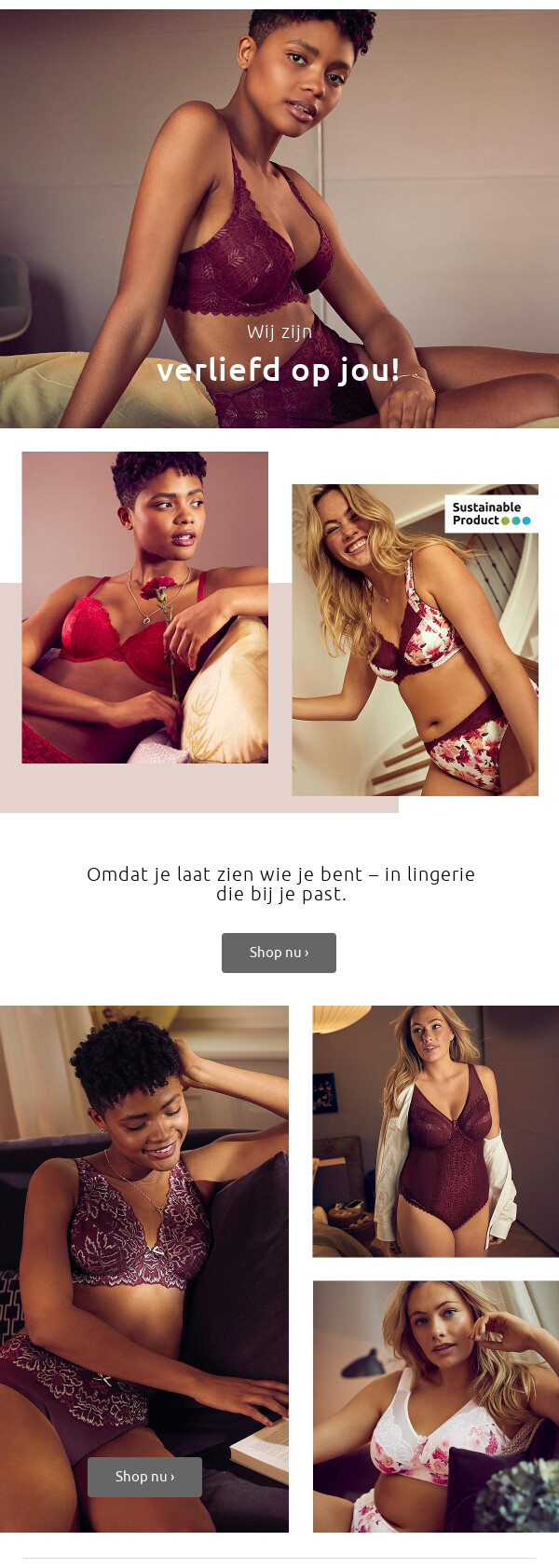 Valentijnsdag >